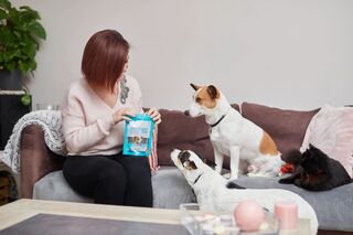 Cún cưng bị hôi miệng: Vấn đề bình thường hay một dấu hiệu đáng lo của vấn đề răng miệng?